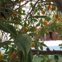dream park bungalow hotel 3 *