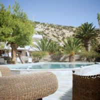 avra palm