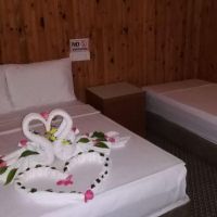 dream park bungalow hotel 3 *