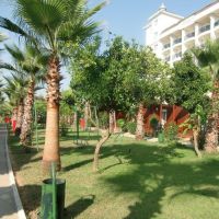 dream park bungalow hotel 3 *