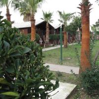 dream park bungalow hotel 3 *