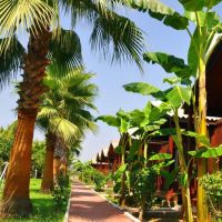 dream park bungalow hotel 3 *