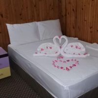 dream park bungalow hotel 3 *