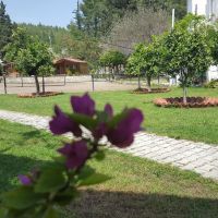 oranj ranch hotel 3 *