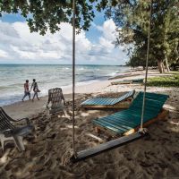 white sand beach