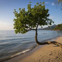 the white knot resort