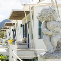 the white knot resort