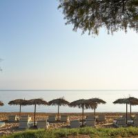 grecotel casa marron