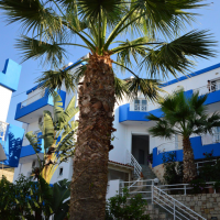 belvedere apartment hotel