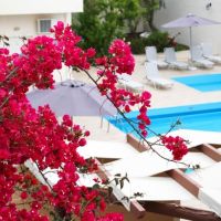 dioni hotel