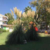 side ces club hotel