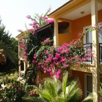 otium park seker resort