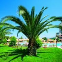 hotel febeach side