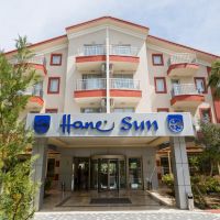 smart hane sun