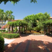 fun&sun family gypsophila village