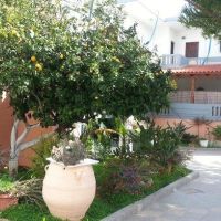 thodorou studios