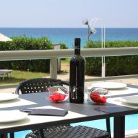 skion palace beach hotel