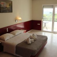 skion palace beach hotel