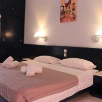 skion palace beach hotel
