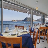 tolo hotel