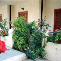 elida aparthotel
