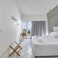 vasia royal hotel