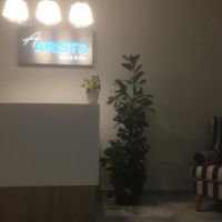 aristo apartments