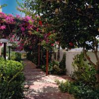 golden bay boutique hotel & bungalows