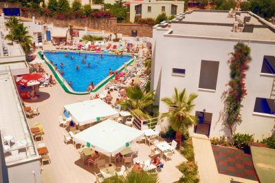 club shark hotel