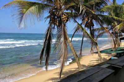 polina resort hikkaduwa (hansa Surf)