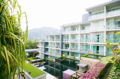 sugar palm grand hillside