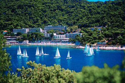 vis hotel