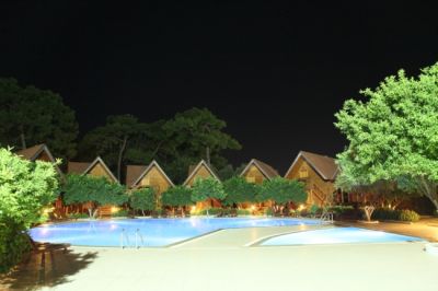 wood line hotel