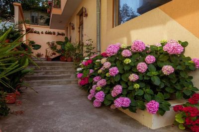 villa orchidea_mz