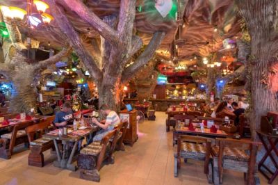 tiger inn