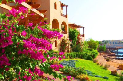 sultan bay el gouna