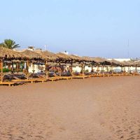 hilton hurghada plaza