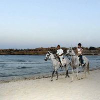 movenpick resort el quseir