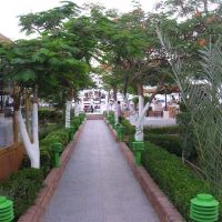 sand beach hotel