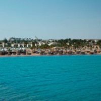 coral beach resort