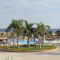 coral beach resort
