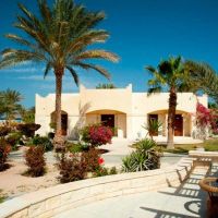 coral beach resort