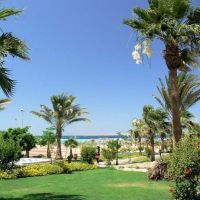coral beach resort