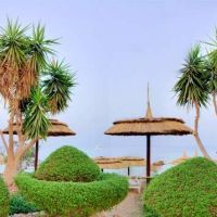 poinciana sharm resort