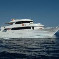 camel dive club & hotel