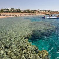 domina coral bay oasis