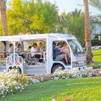 domina coral bay oasis