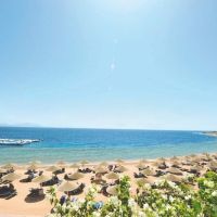 domina coral bay oasis