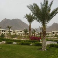taba paradise resort