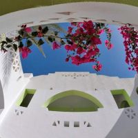 domina coral bay oasis